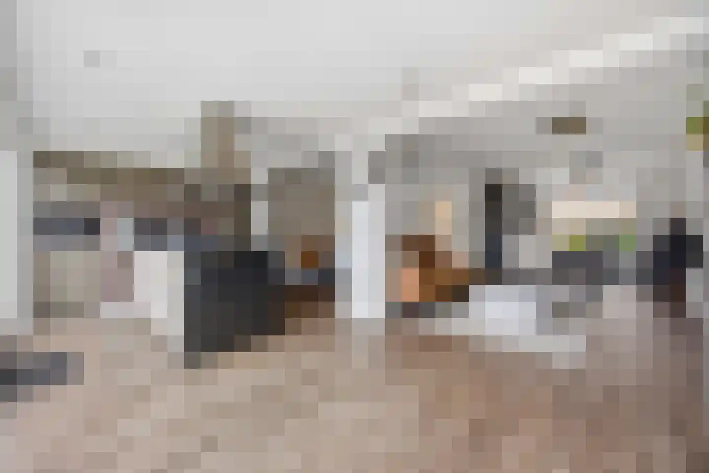 Berkenstraat 26 Raamsdonksveer thumbnail 19