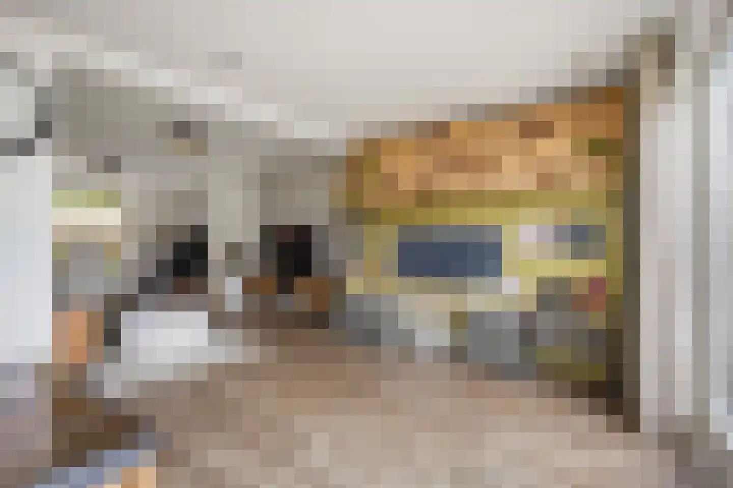 Berkenstraat 26 Raamsdonksveer thumbnail 20