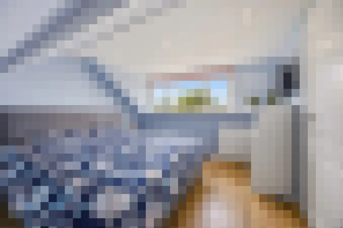 Berkenstraat 26 Raamsdonksveer thumbnail 34
