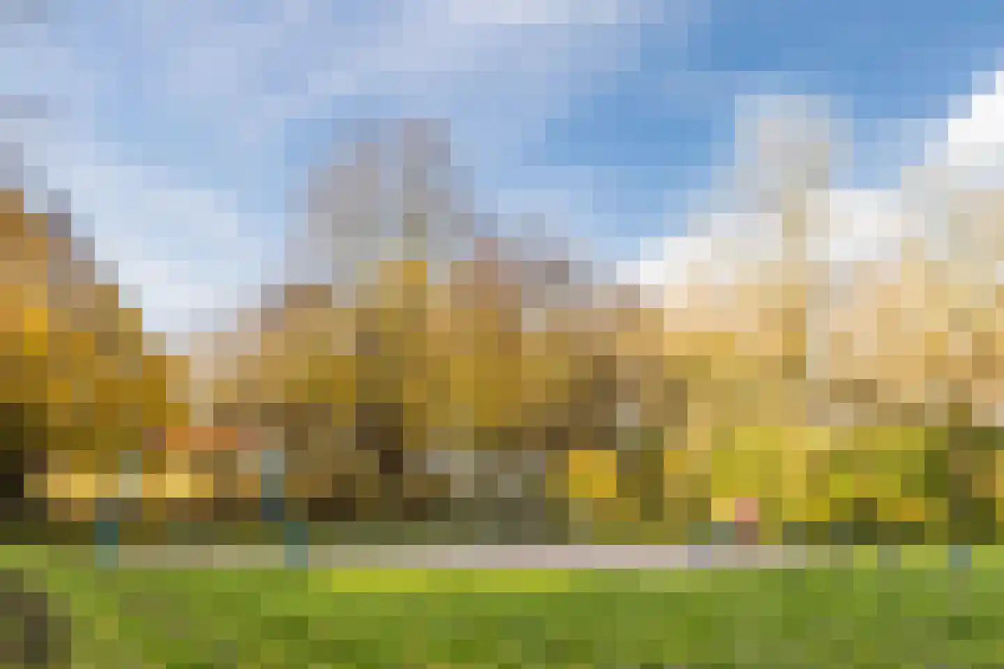 Berkenstraat 26 Raamsdonksveer thumbnail 45