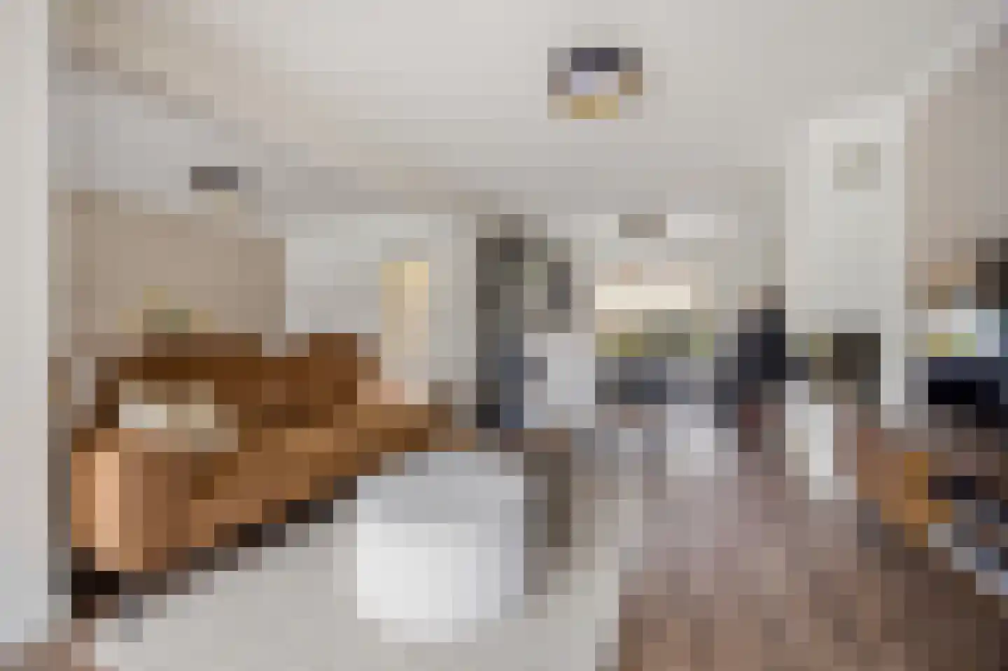 Berkenstraat 26 Raamsdonksveer thumbnail 7