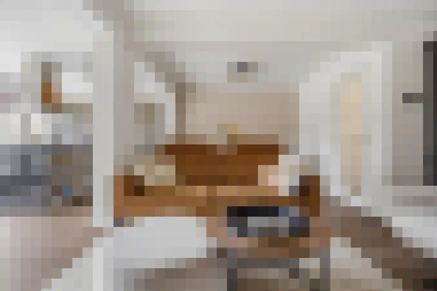 Berkenstraat 26 Raamsdonksveer thumbnail 8