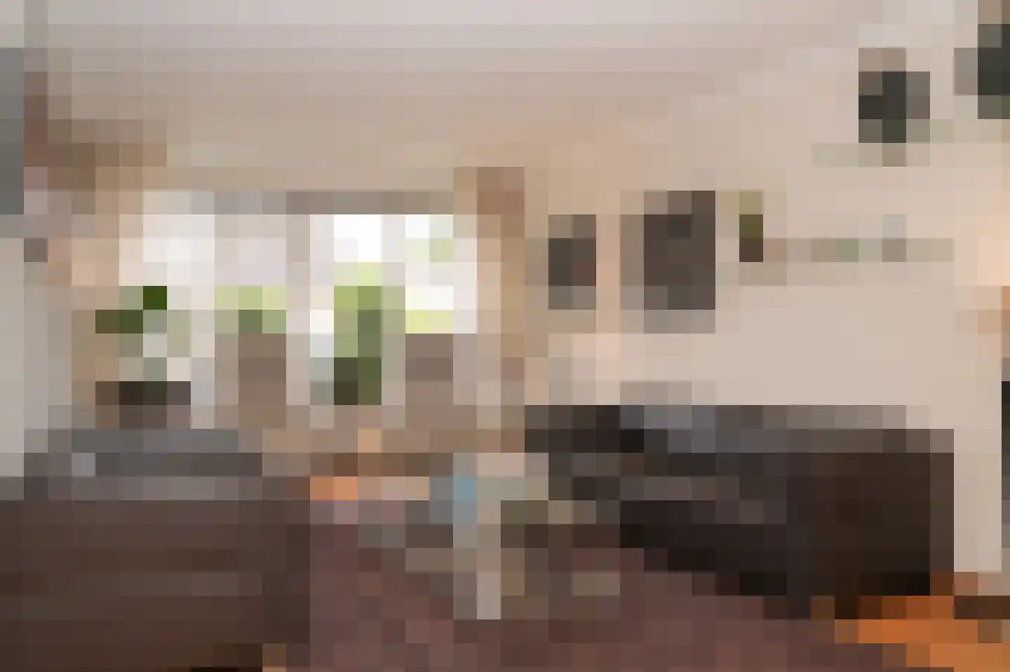 Berkenstraat 27 Boven-Leeuwen thumbnail 7