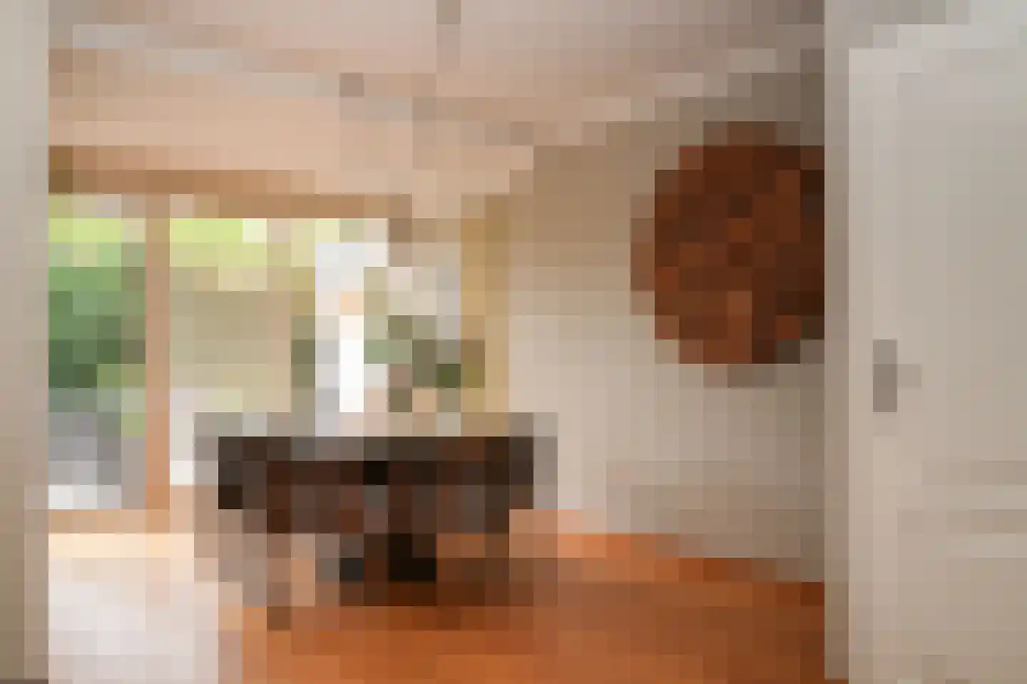 Berkenstraat 27 Boven-Leeuwen thumbnail 8
