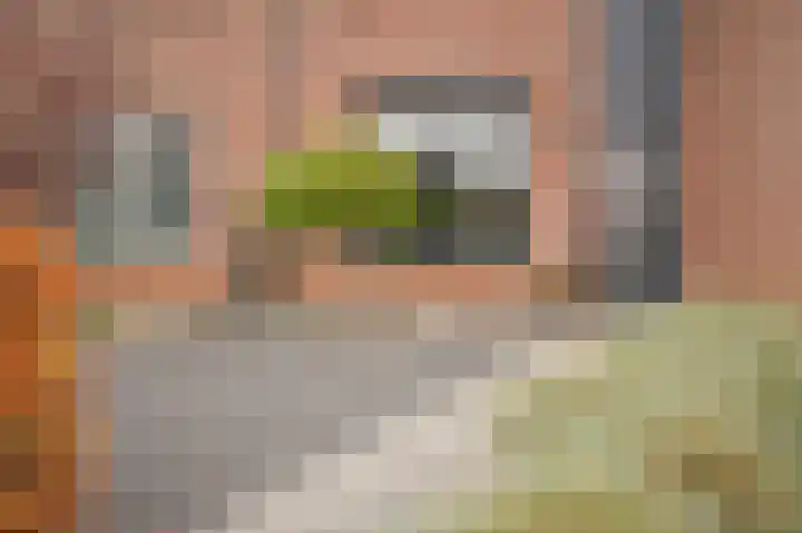 Berkenstraat 3 Boven-Leeuwen thumbnail 30