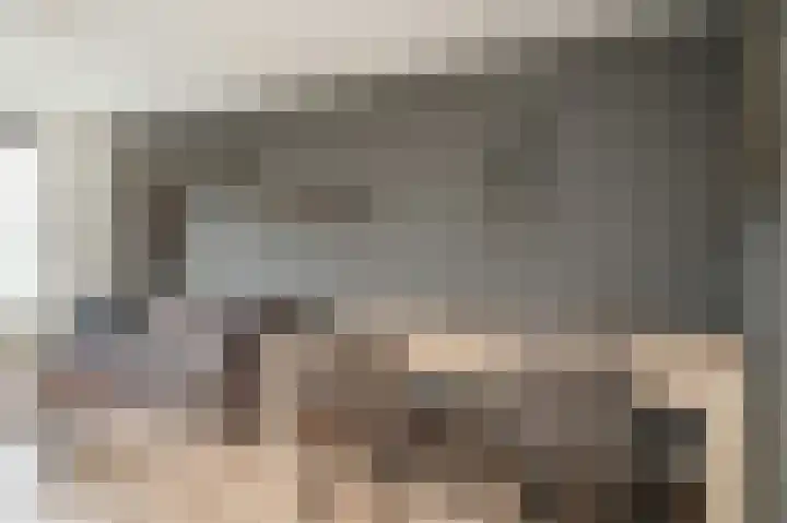Berkenstraat 3 Boven-Leeuwen thumbnail 4