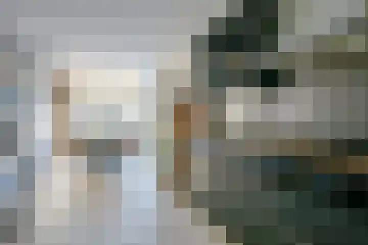 Berkenstraat 3 Winkel thumbnail 11