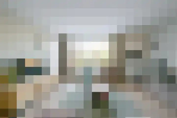 Berkenstraat 3 Winkel thumbnail 6