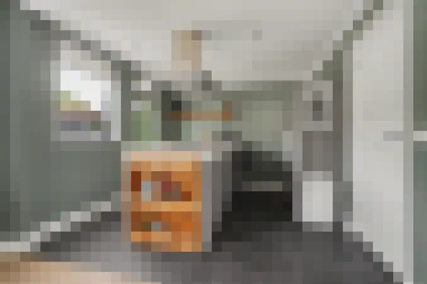 Berkenstraat 31 Raamsdonksveer thumbnail 10