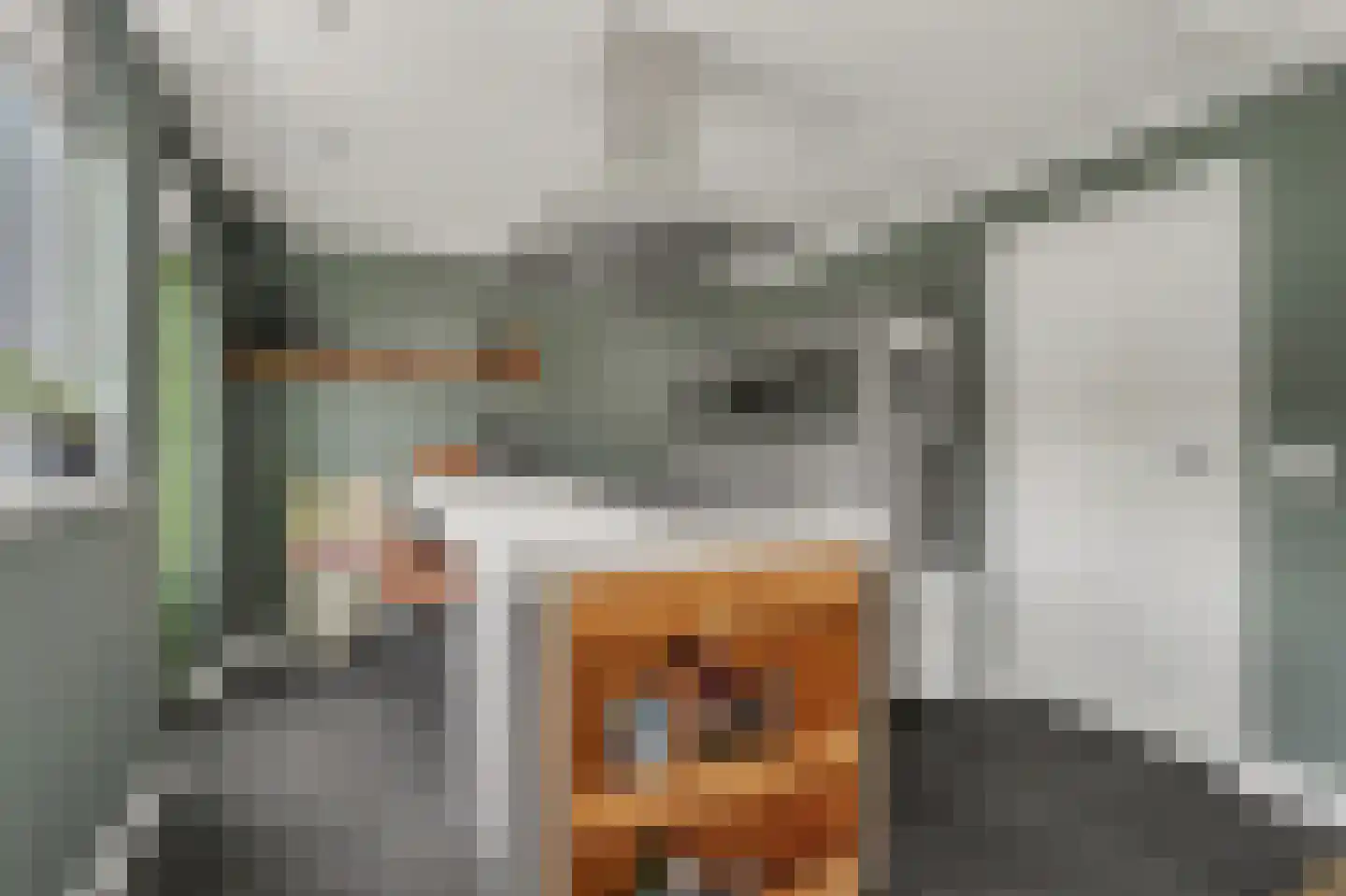 Berkenstraat 31 Raamsdonksveer thumbnail 11