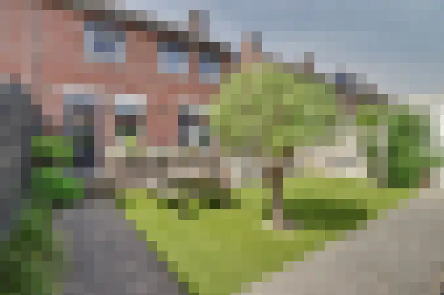 Berkenstraat 31 Raamsdonksveer thumbnail 24