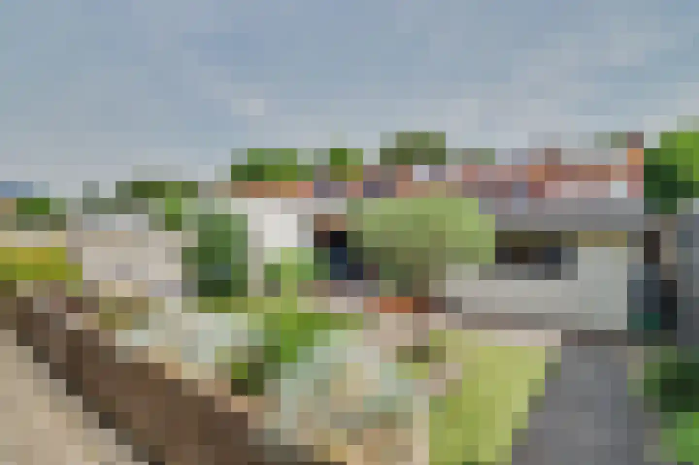 Berkenstraat 31 Raamsdonksveer thumbnail 29