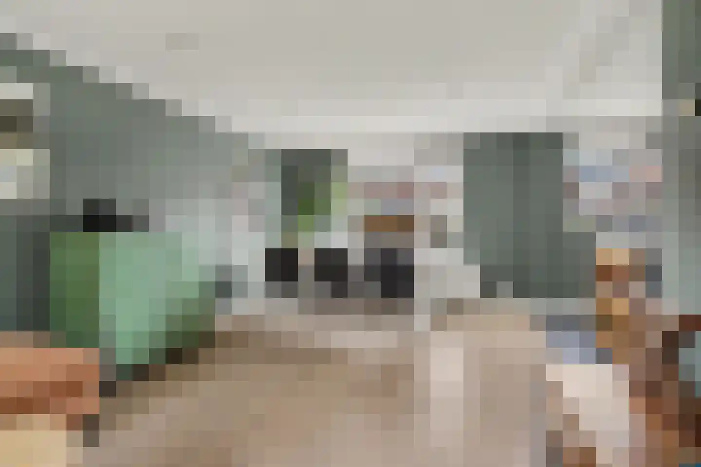 Berkenstraat 31 Raamsdonksveer thumbnail 4