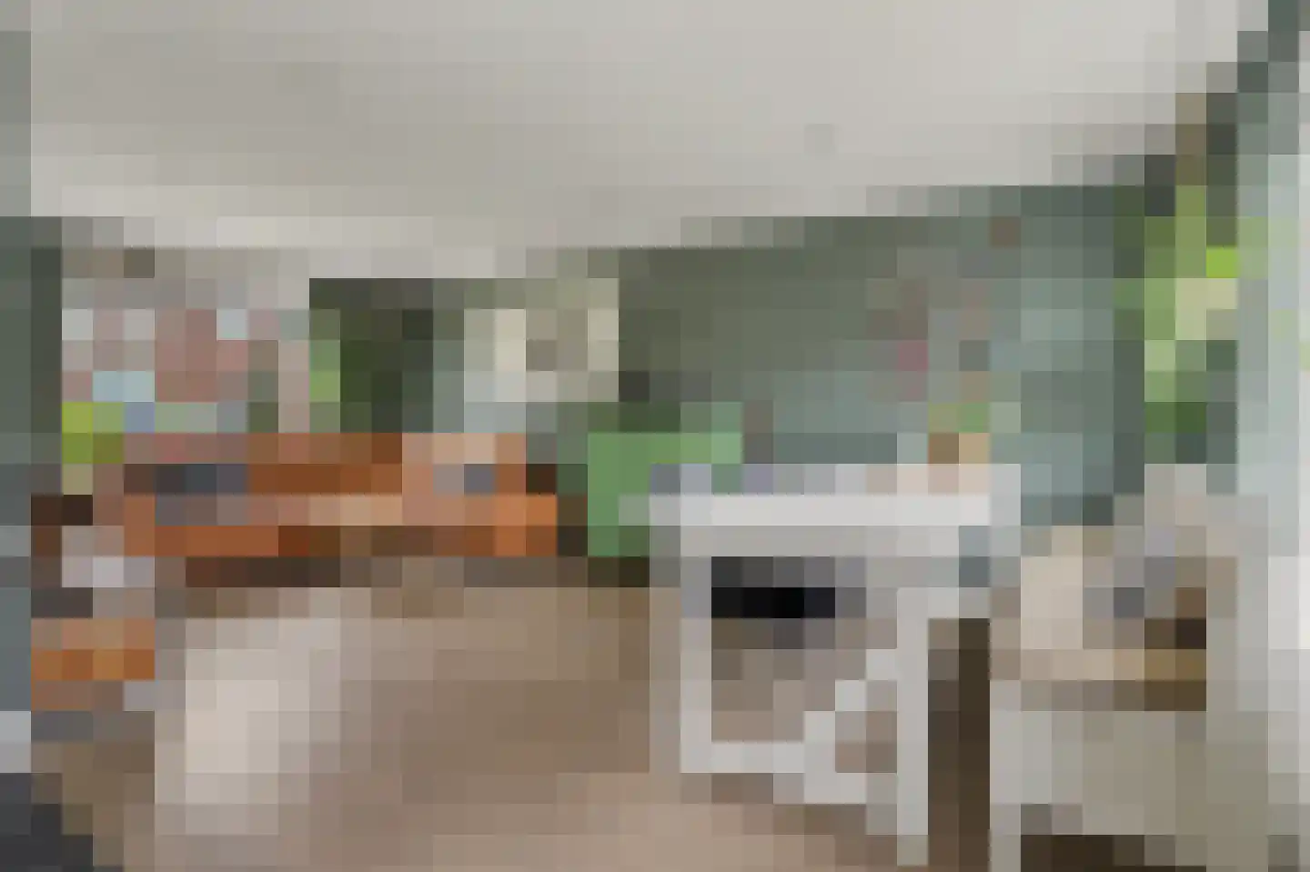 Berkenstraat 31 Raamsdonksveer thumbnail 5