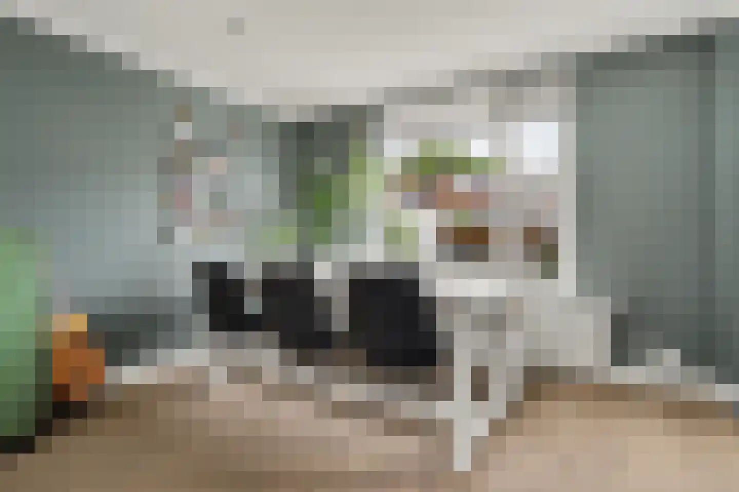 Berkenstraat 31 Raamsdonksveer thumbnail 8