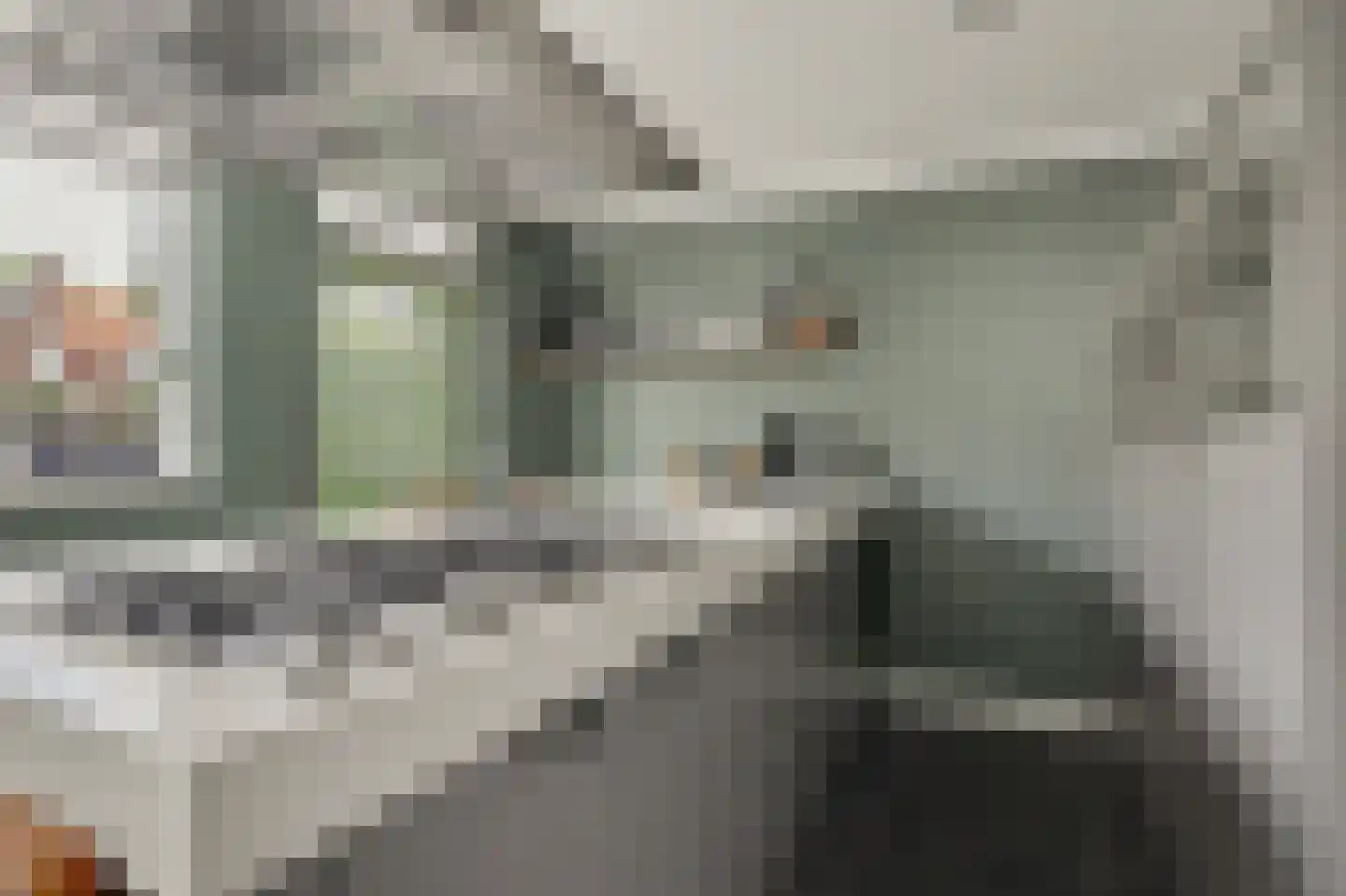 Berkenstraat 31 Raamsdonksveer thumbnail 9