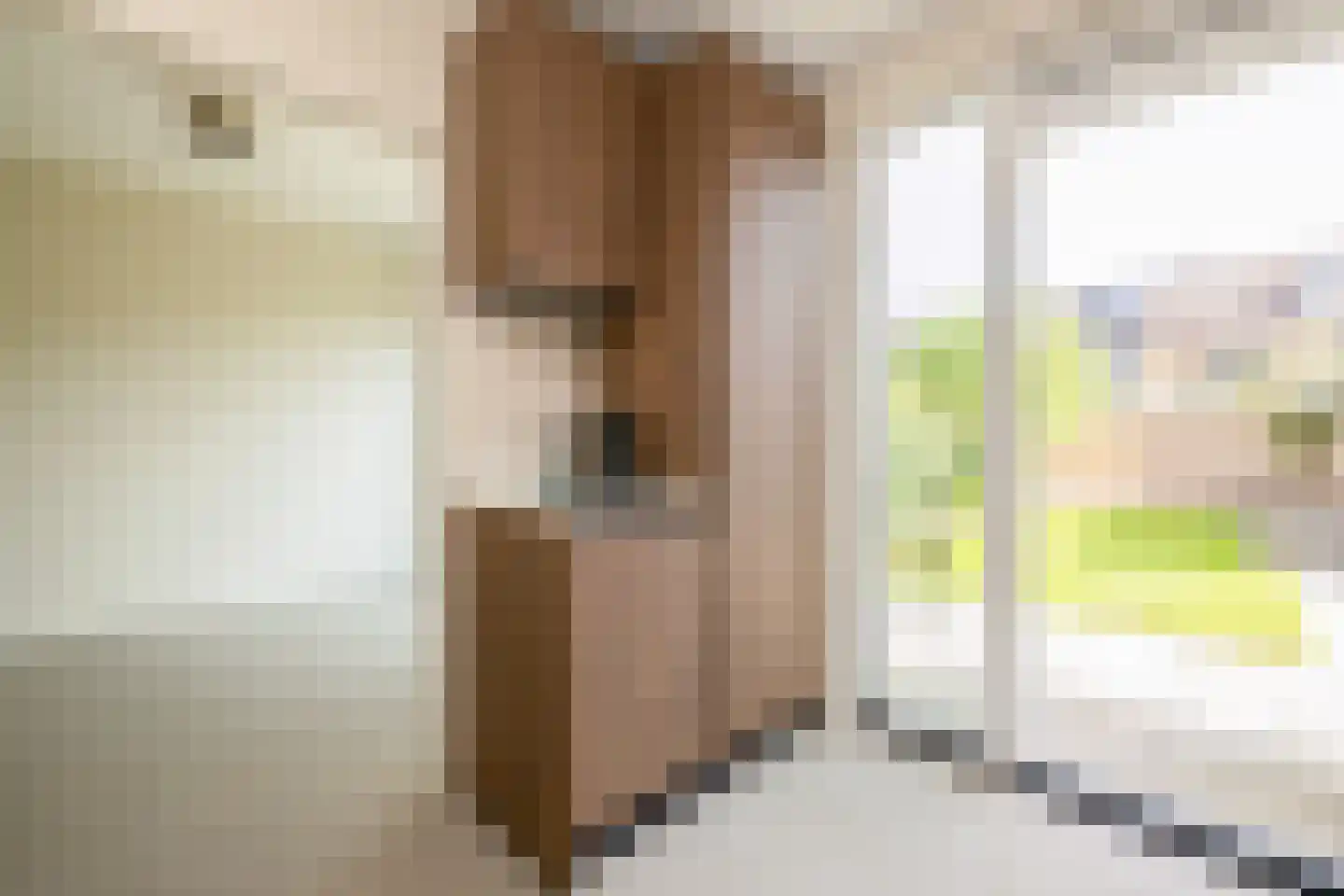 Berkenstraat 31 's-Gravenzande thumbnail 19