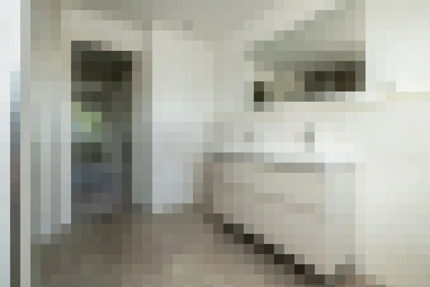Berkenstraat 31 's-Gravenzande thumbnail 28