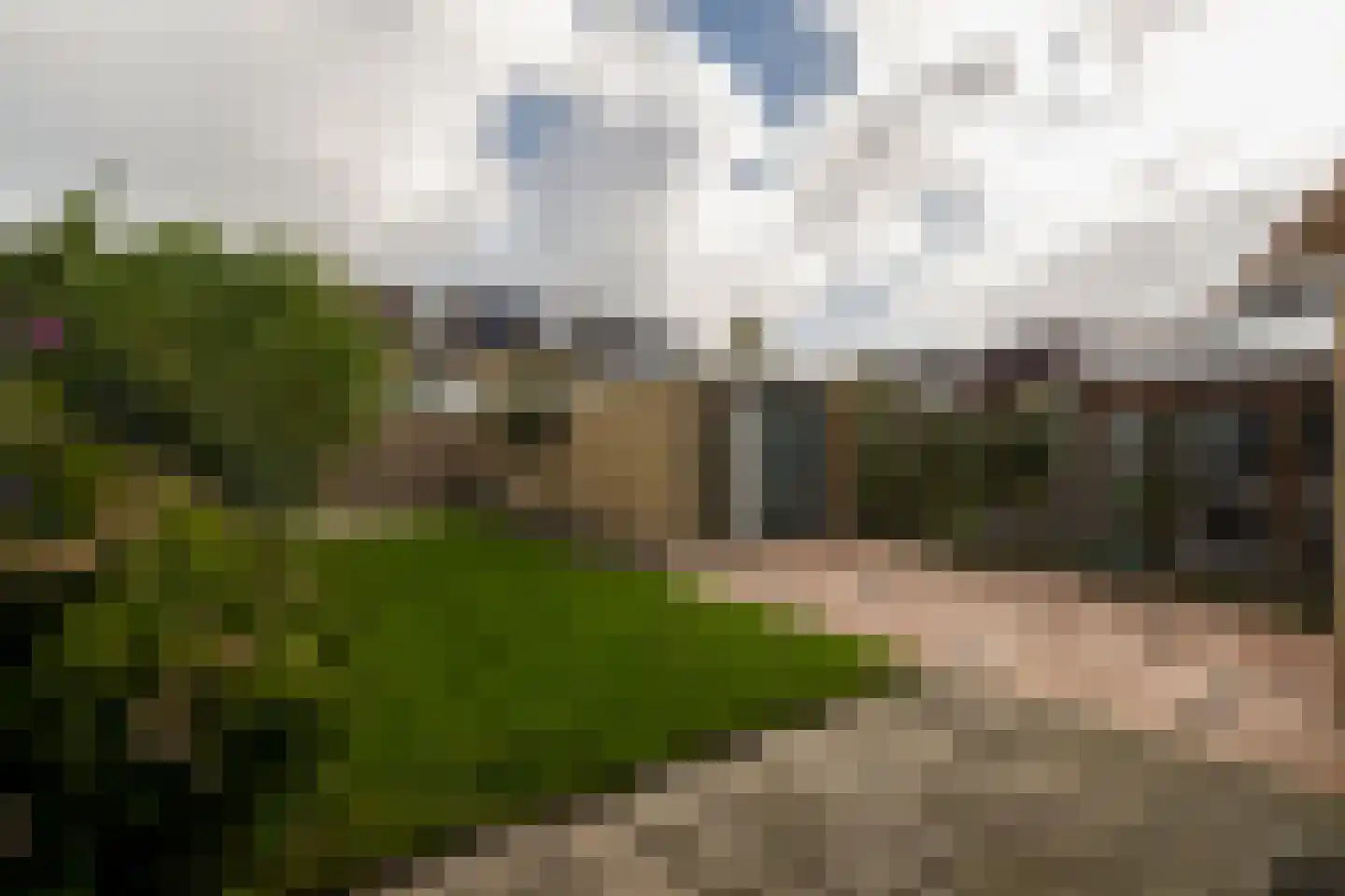 Berkenstraat 31 's-Gravenzande thumbnail 44