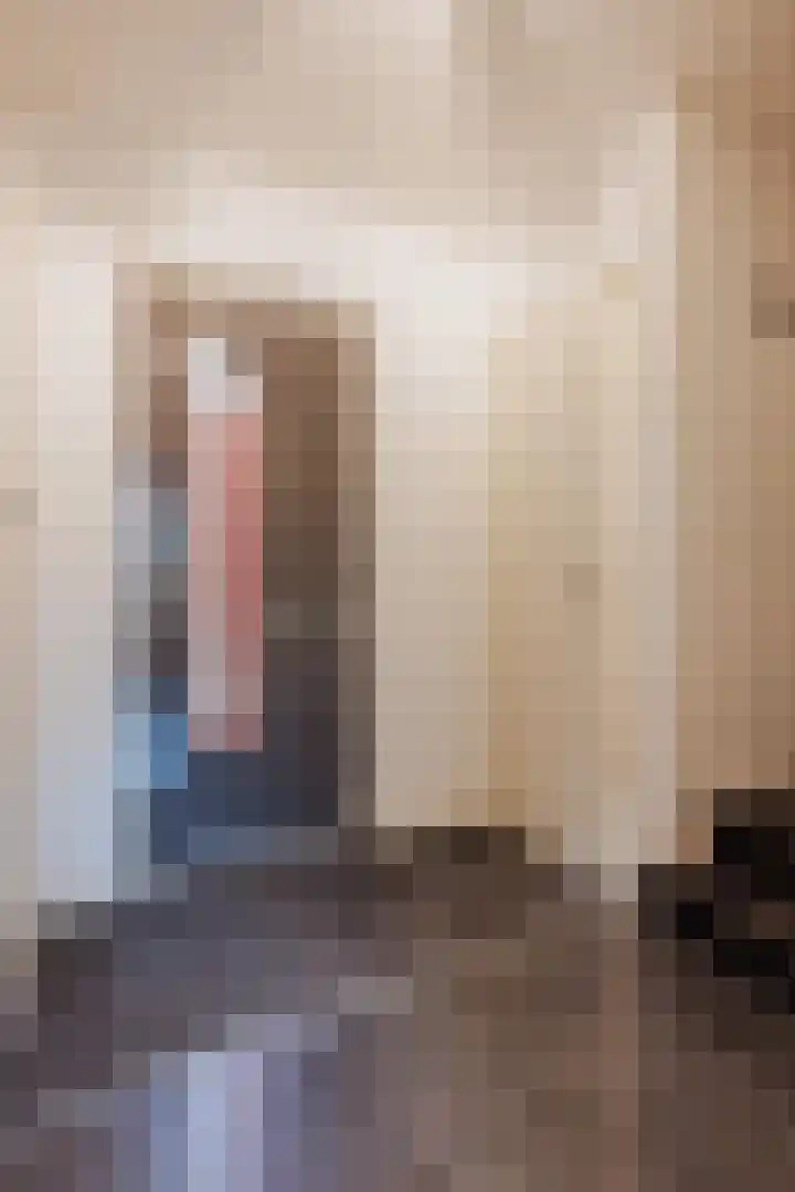 Berkenstraat 33 Raamsdonksveer thumbnail 15
