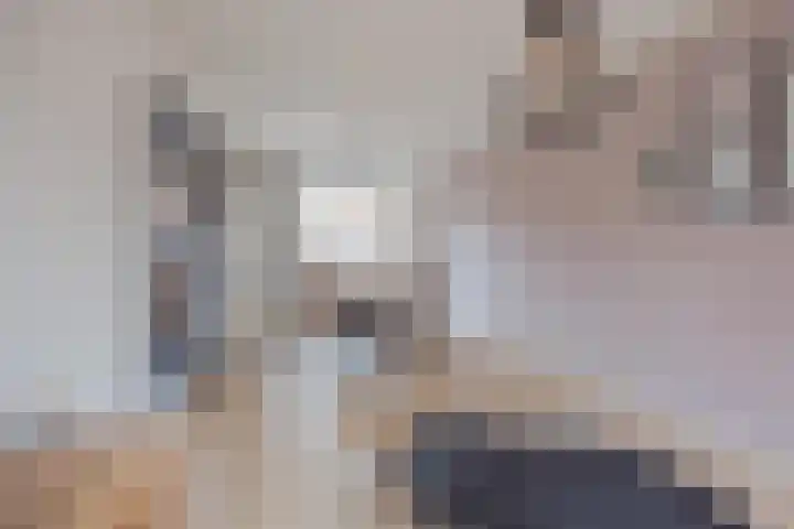 Berkenstraat 33 Raamsdonksveer thumbnail 20