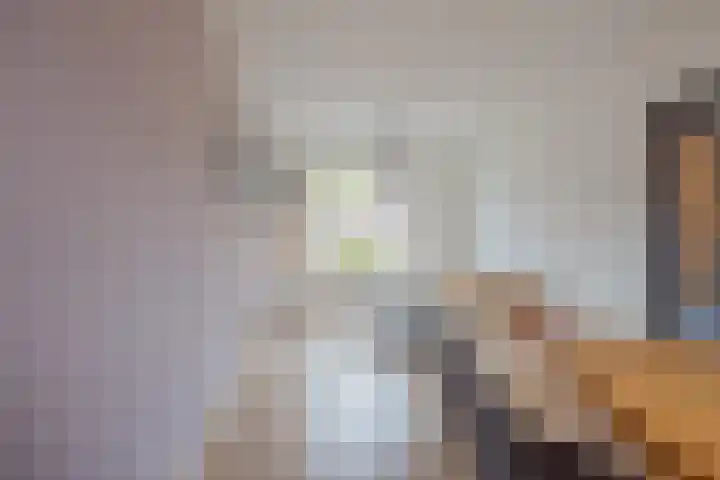 Berkenstraat 33 Raamsdonksveer thumbnail 22