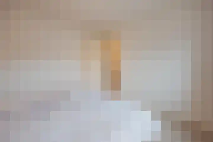 Berkenstraat 33 Raamsdonksveer thumbnail 34