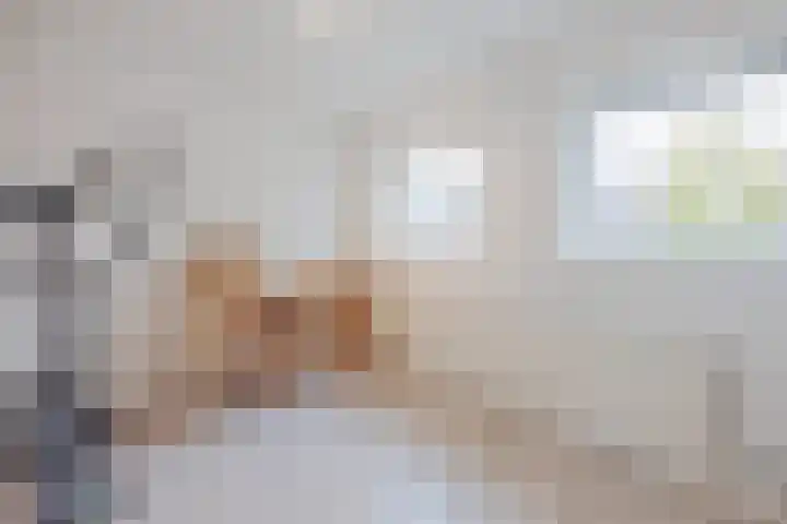 Berkenstraat 33 Raamsdonksveer thumbnail 35