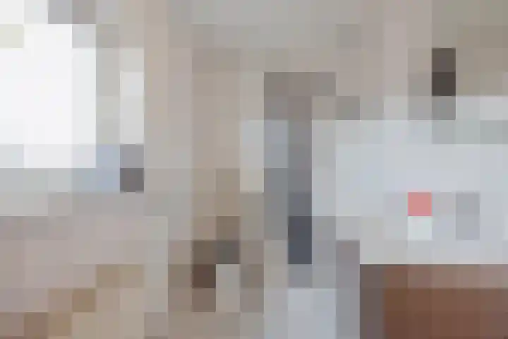 Berkenstraat 33 Raamsdonksveer thumbnail 4