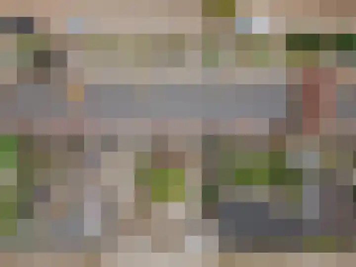 Berkenstraat 33 Raamsdonksveer thumbnail 6