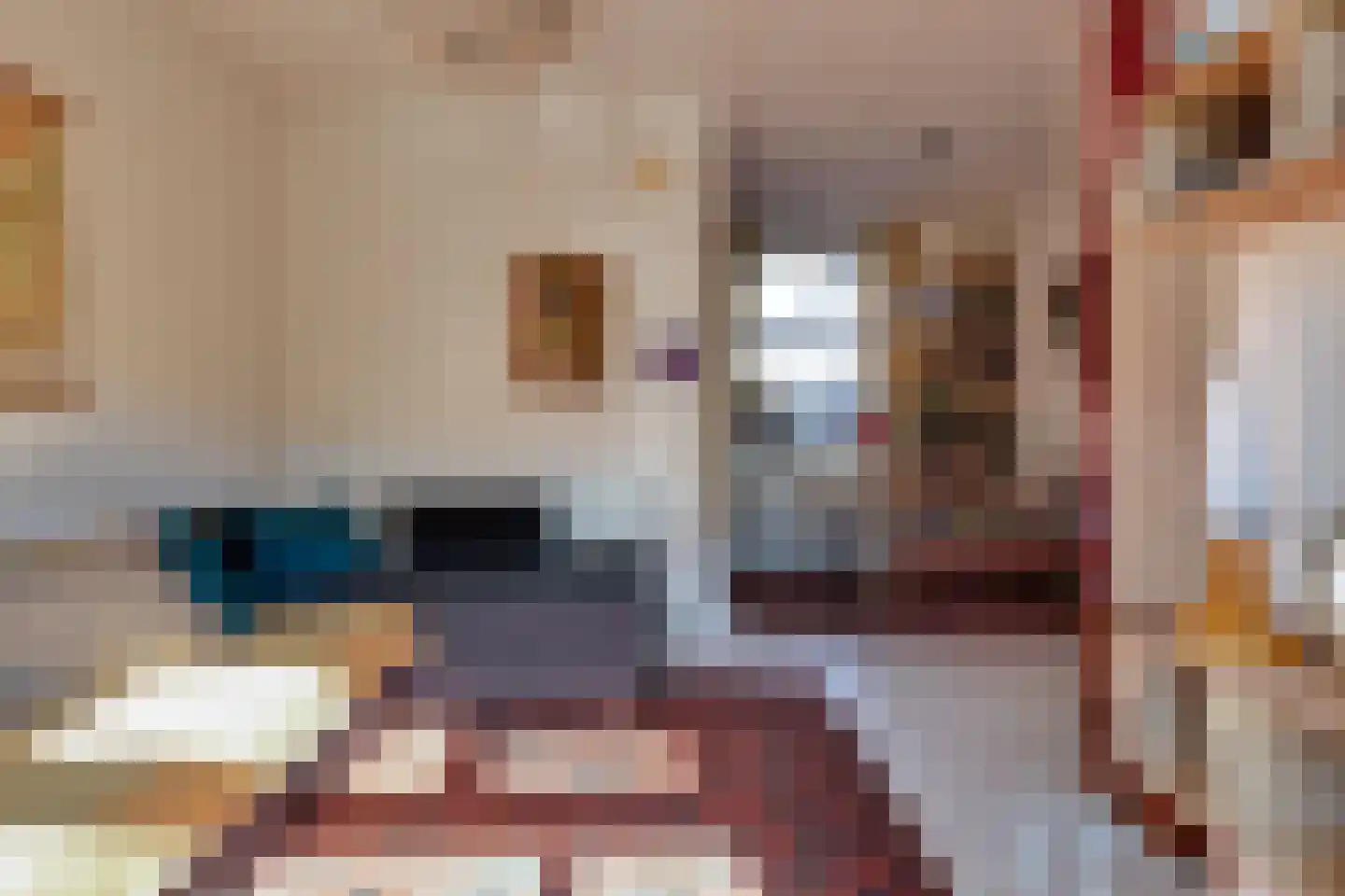 Berkenstraat 36 Winterswijk thumbnail 6