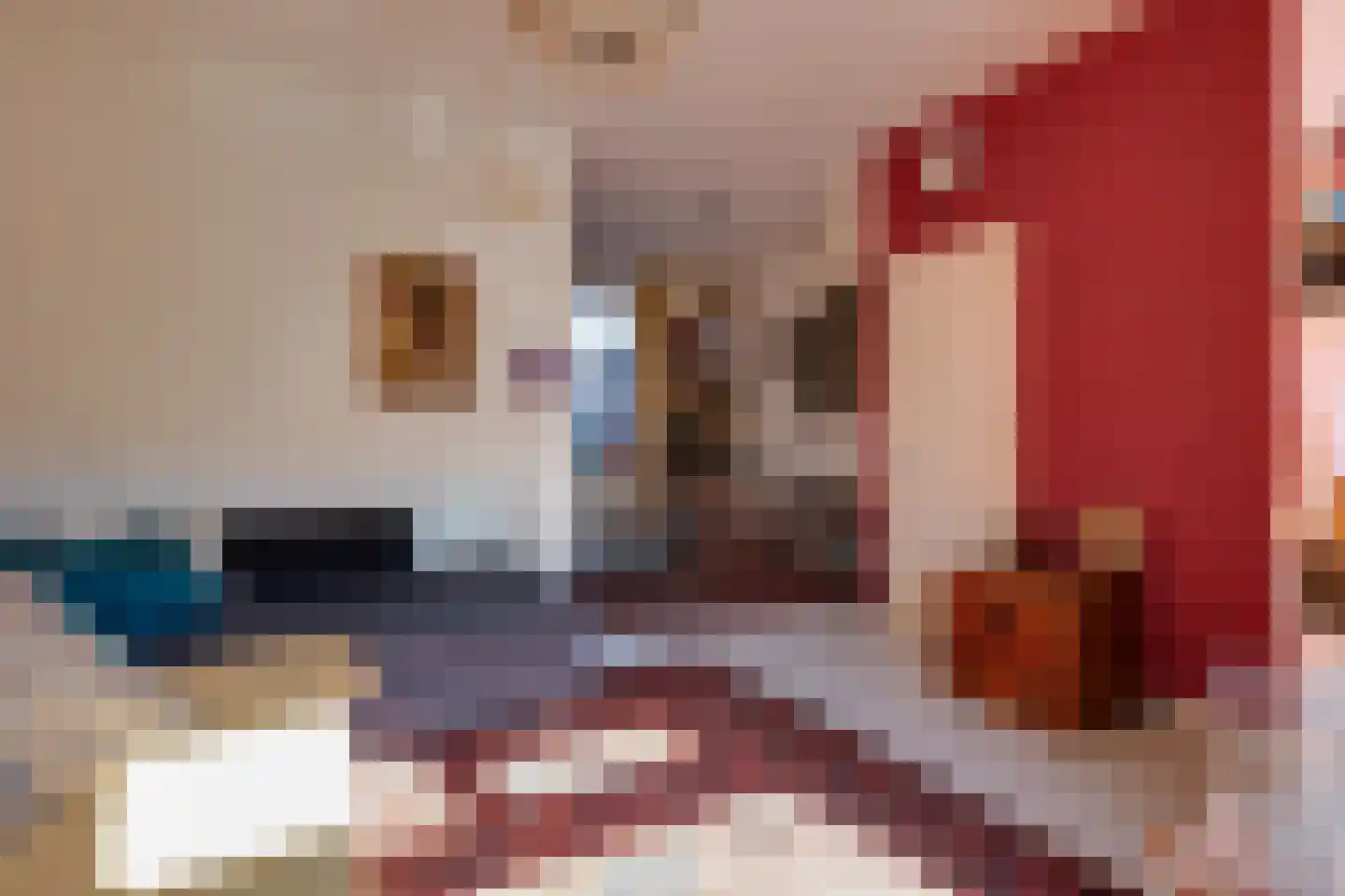 Berkenstraat 36 Winterswijk thumbnail 7
