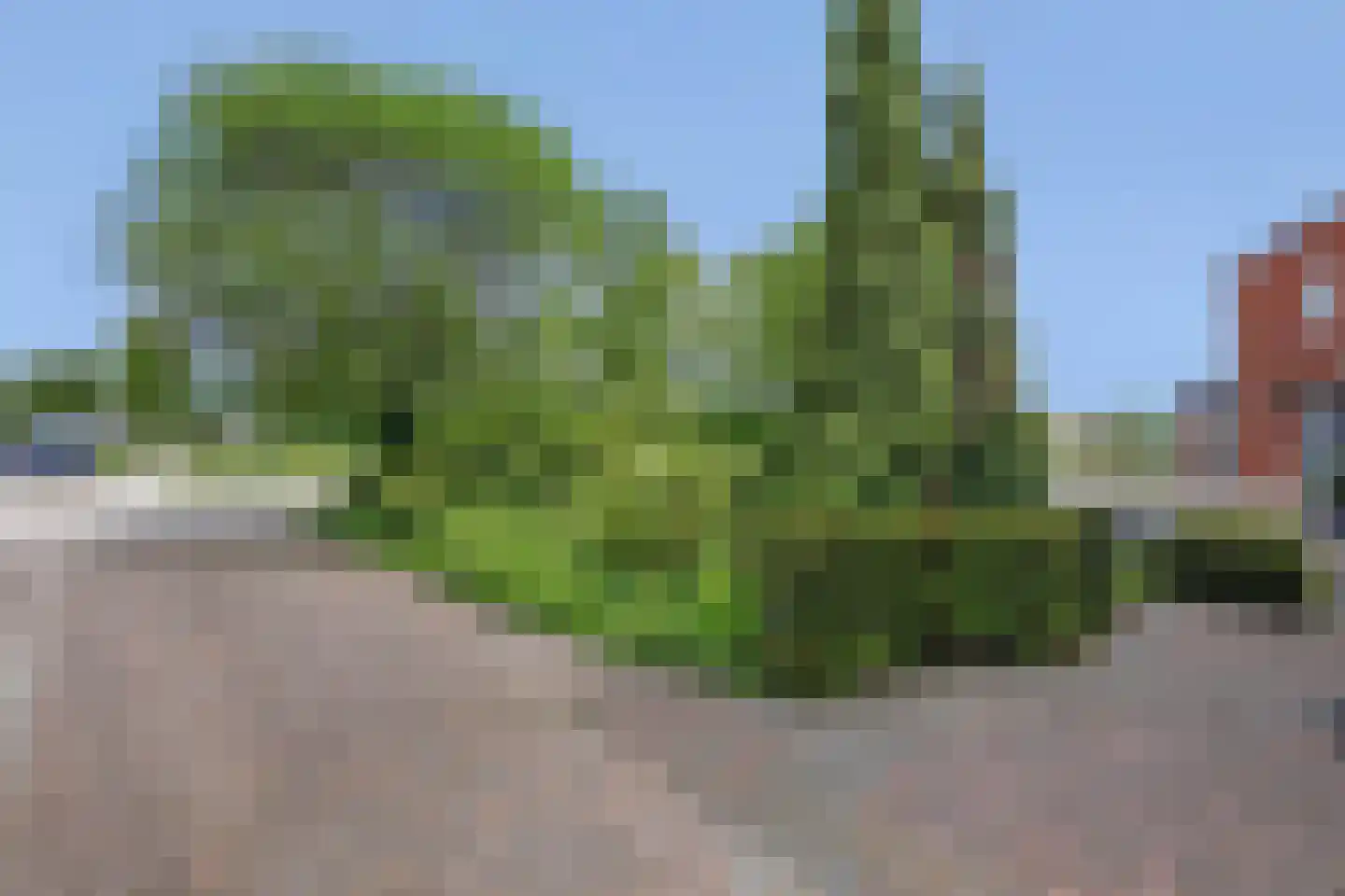 Berkenstraat 38 Alteveer thumbnail 14