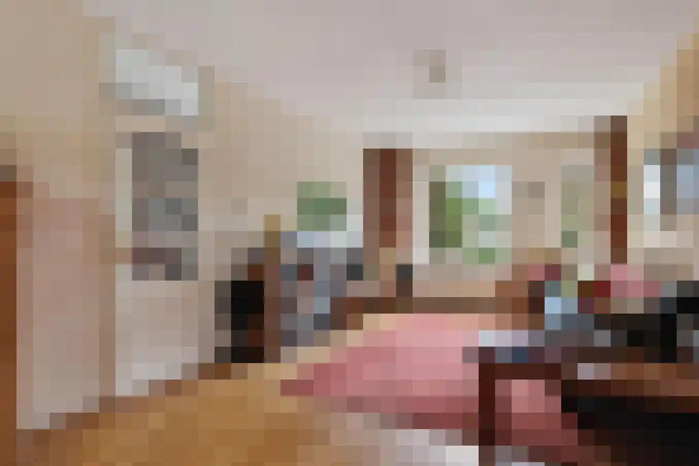 Berkenstraat 38 Alteveer thumbnail 21