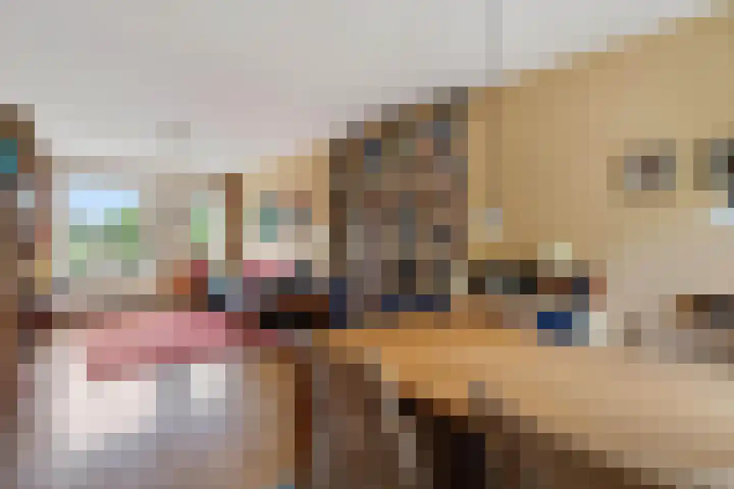 Berkenstraat 38 Alteveer thumbnail 24
