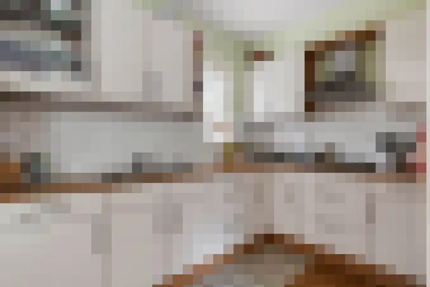 Berkenstraat 38 Alteveer thumbnail 25