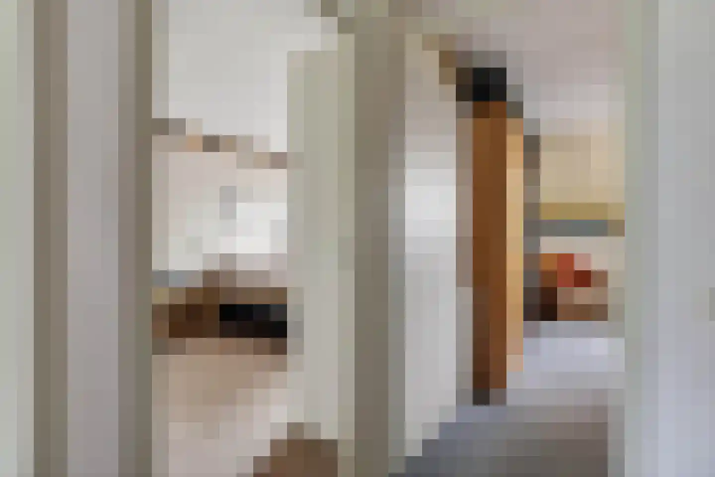 Berkenstraat 38 Alteveer thumbnail 33
