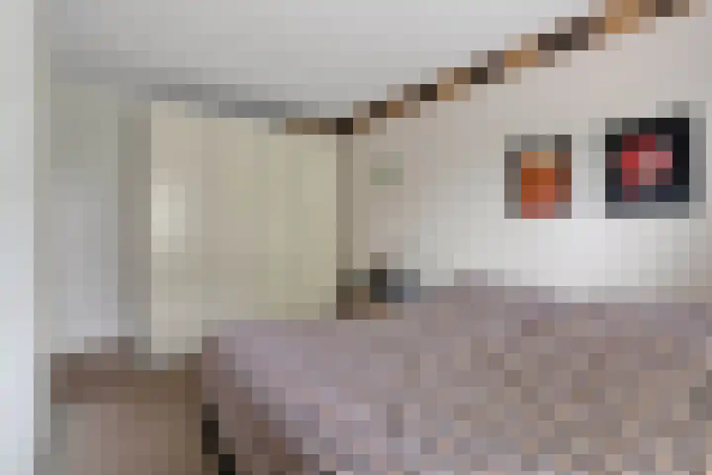 Berkenstraat 38 Alteveer thumbnail 35