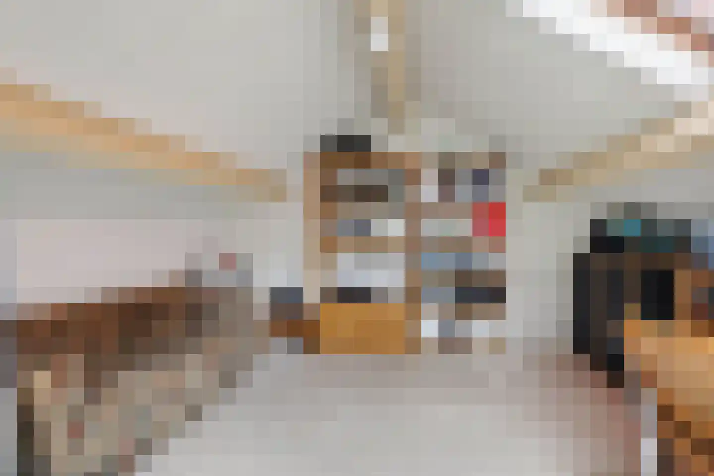 Berkenstraat 38 Alteveer thumbnail 38