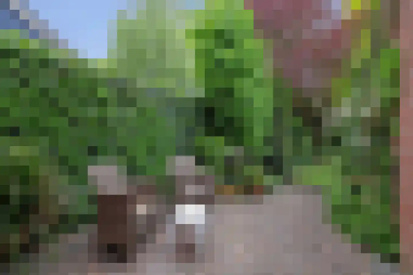 Berkenstraat 38 Alteveer thumbnail 4