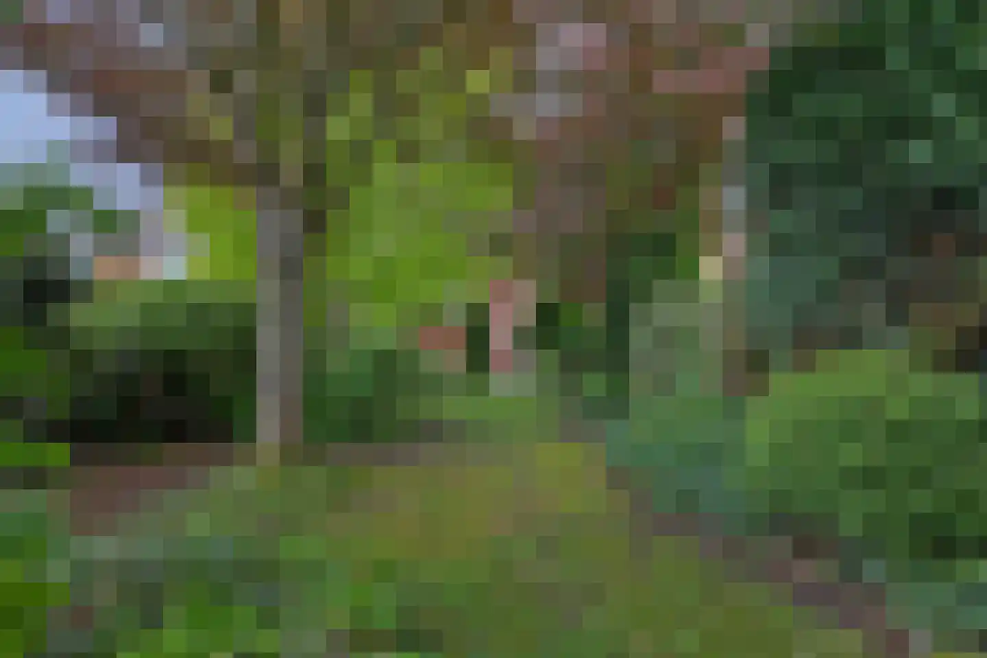 Berkenstraat 38 Alteveer thumbnail 43