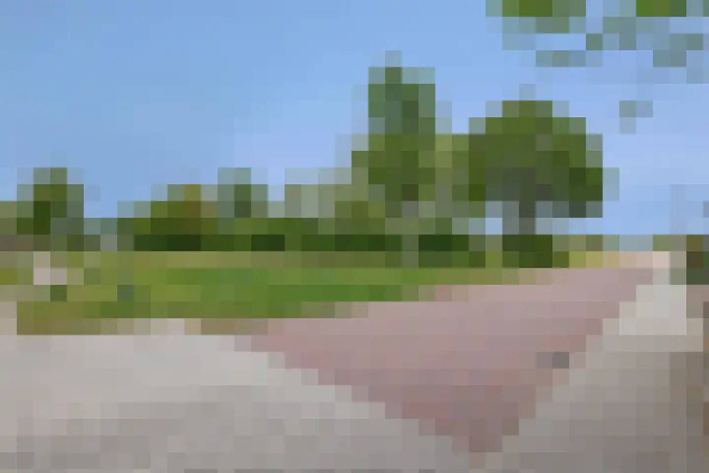 Berkenstraat 38 Alteveer thumbnail 45