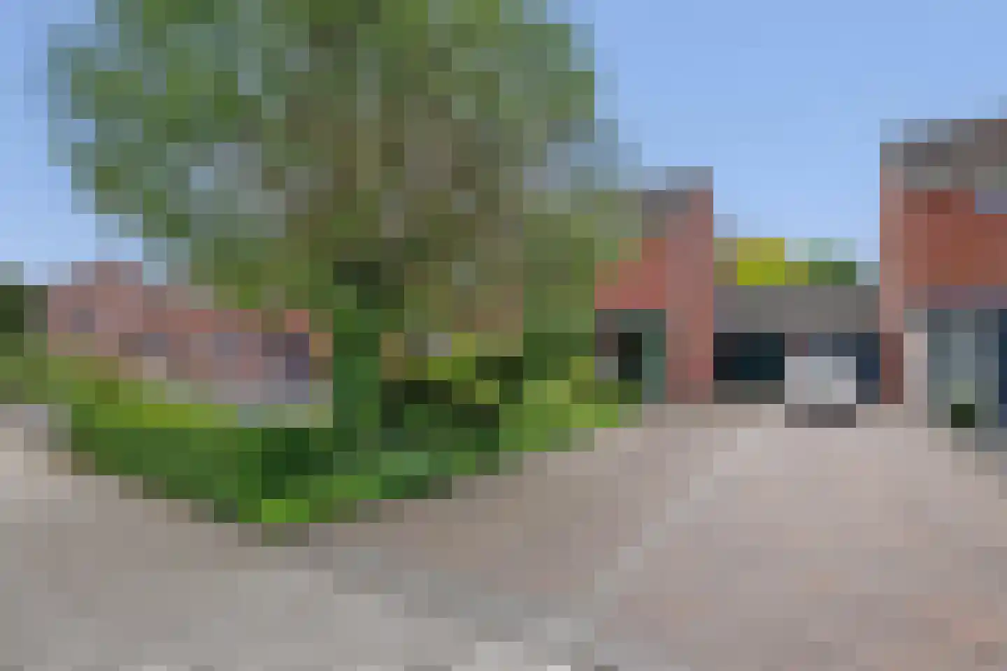 Berkenstraat 38 Alteveer thumbnail 7