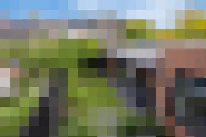 Berkenstraat 4 Drunen thumbnail 32
