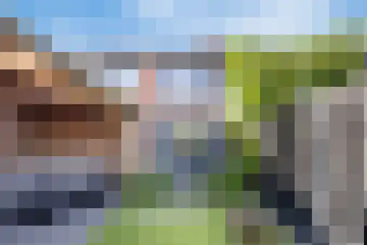 Berkenstraat 4 Drunen thumbnail 38