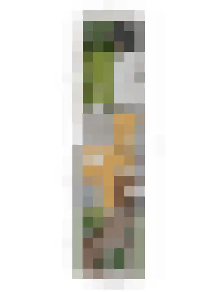 Berkenstraat 4 Drunen thumbnail 43