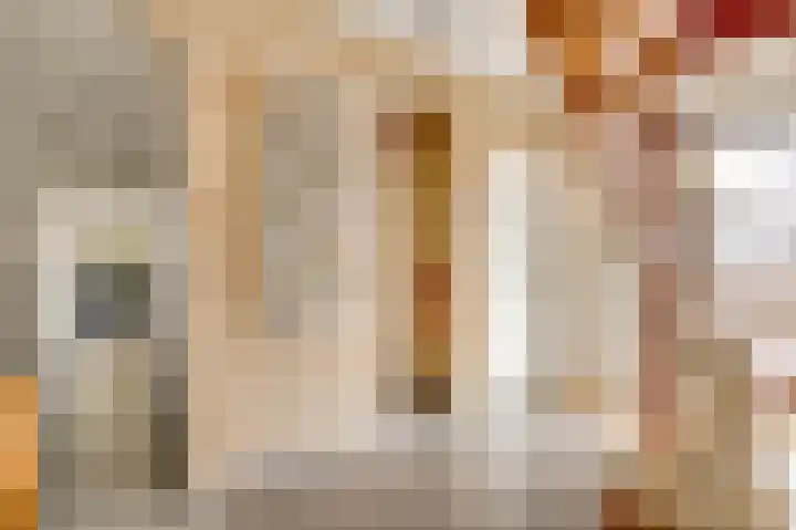 Berkenstraat 4 Hunsel thumbnail 11