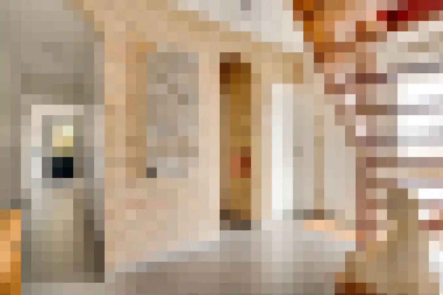 Berkenstraat 4 Hunsel thumbnail 11