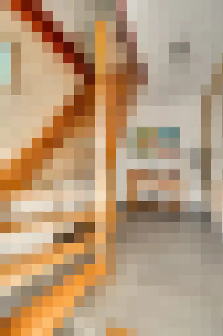 Berkenstraat 4 Hunsel thumbnail 12