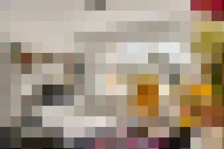 Berkenstraat 4 Hunsel thumbnail 16
